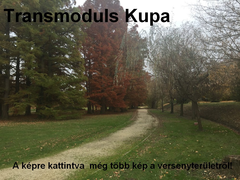 transmodulskupa